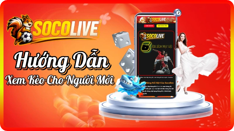 Hướng Dẫn Xem Tỷ Lệ Kèo Cho Người Mới Bắt Đầu